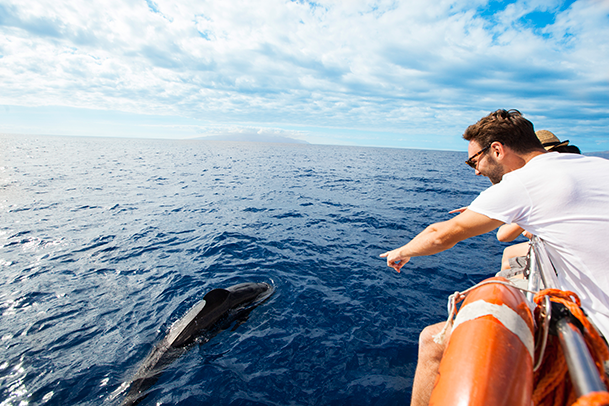 Barco_Cetaceos_Alta_21OctIMG_0724