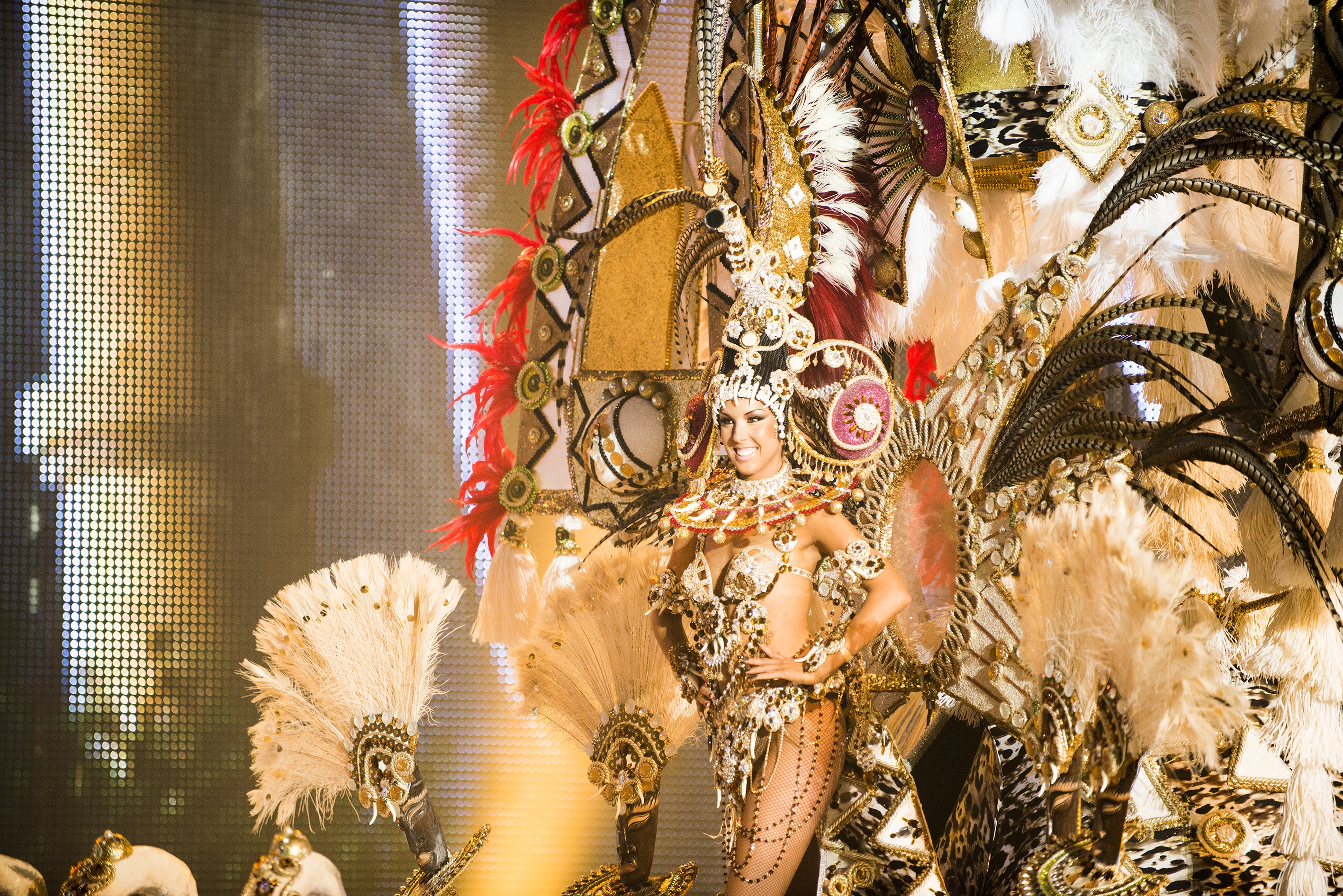 Fiesta Canaria Carnaval