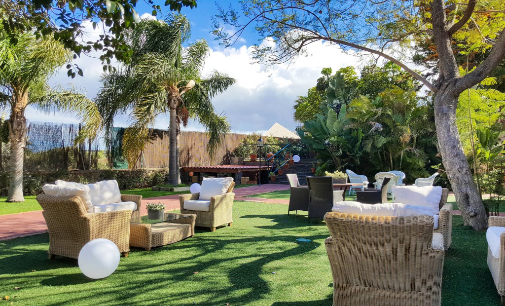 Eine mit Palmen ausgestattete Terrasse und Rasen in einem Garten auf Teneriffa.