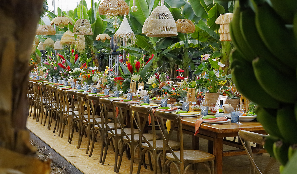Ein langer Tisch, dekoriert mit Blumen und Früchten in einer Bananenfassung auf Teneriffa.