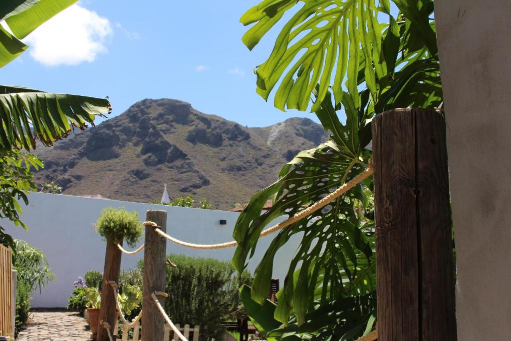 Tropische Pflanzen und Bergpanoramen auf Teneriffa.