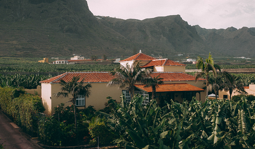 Haus umgeben von Bananenplantagen in Los Silos, Teneriffa. Im Hintergrund Berge.
