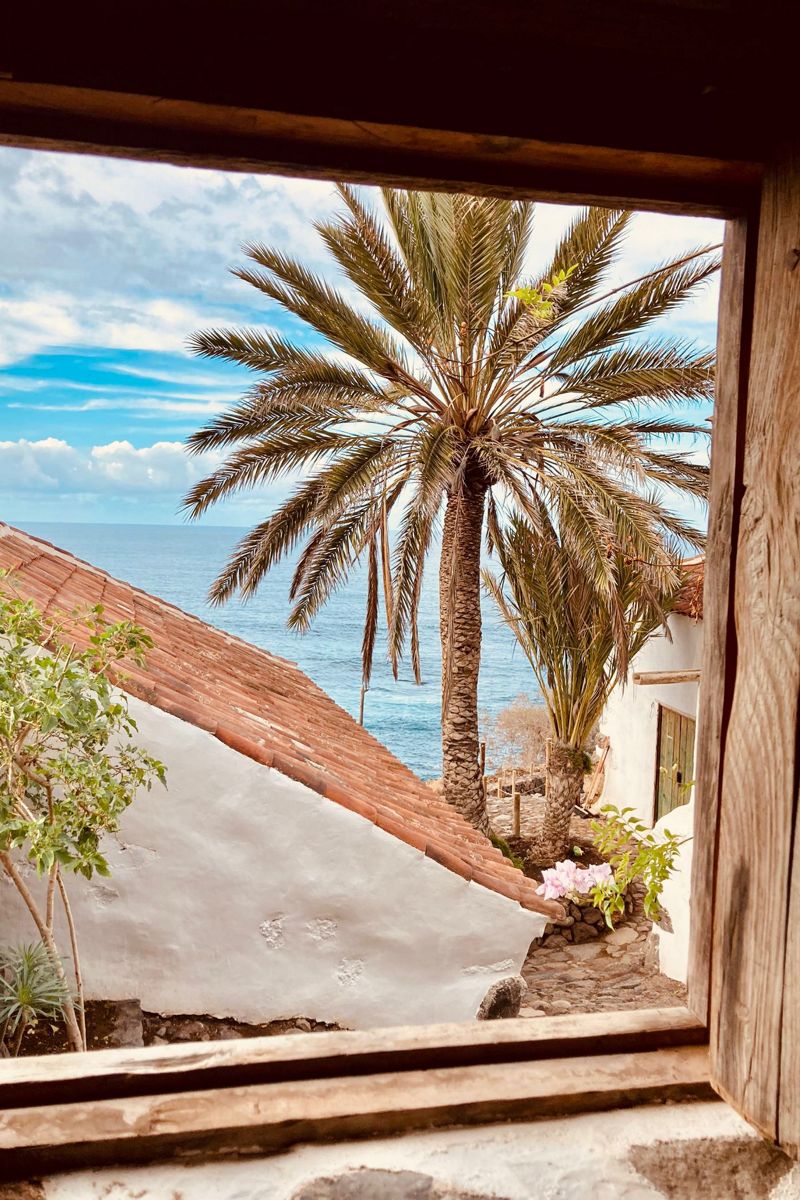 Blick aus einem Fenster auf Palmen und Meer in Teneriffa.