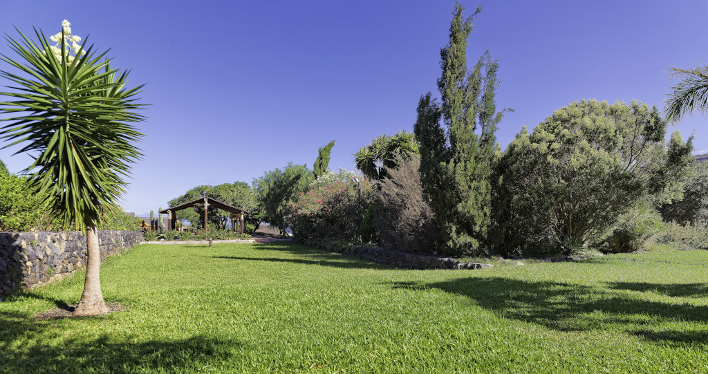 Grüne Wiese mit Bäumen und Pavillon im Parque García Sanabria, Teneriffa.