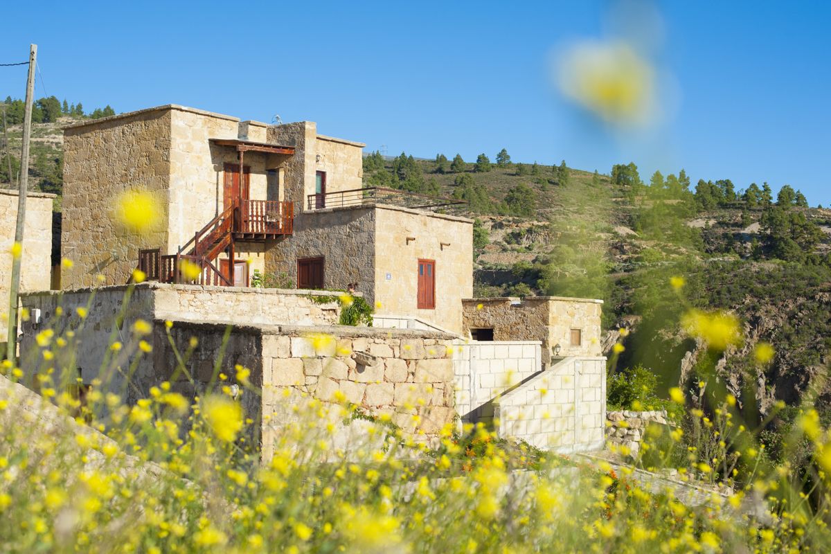 Steinhaus in einer ländlichen Landschaft von Tejina, umgeben von Blumen und Hügeln.