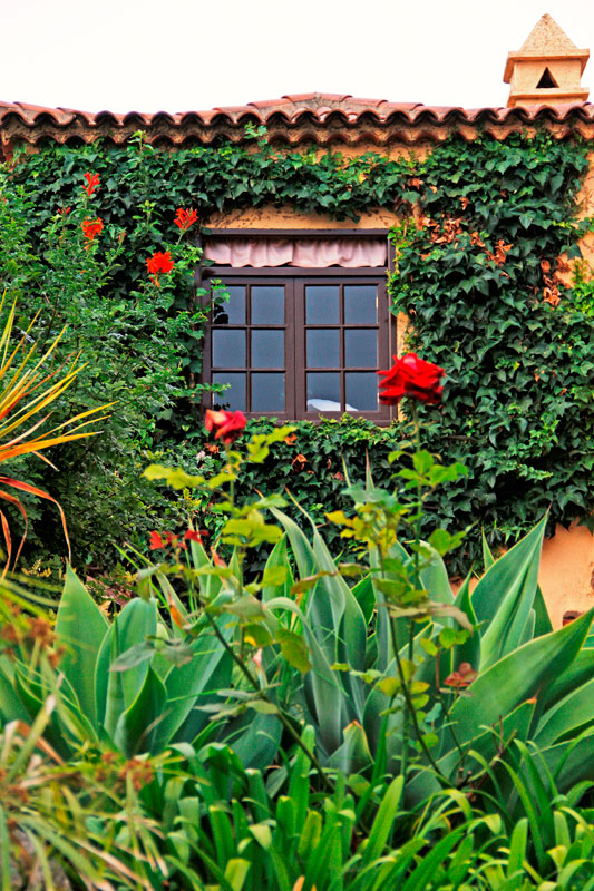 Fenster mit Efeu und roten Blumen in einem Garten in La Laguna, Teneriffa.