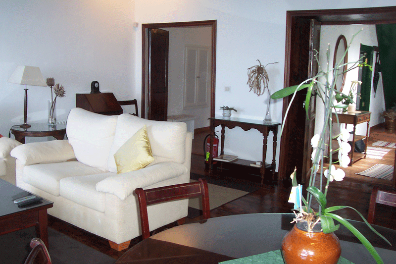 Wohnzimmer mit weißem Sofa, Pflanzen auf Tisch und offener Tür in Teneriffa.