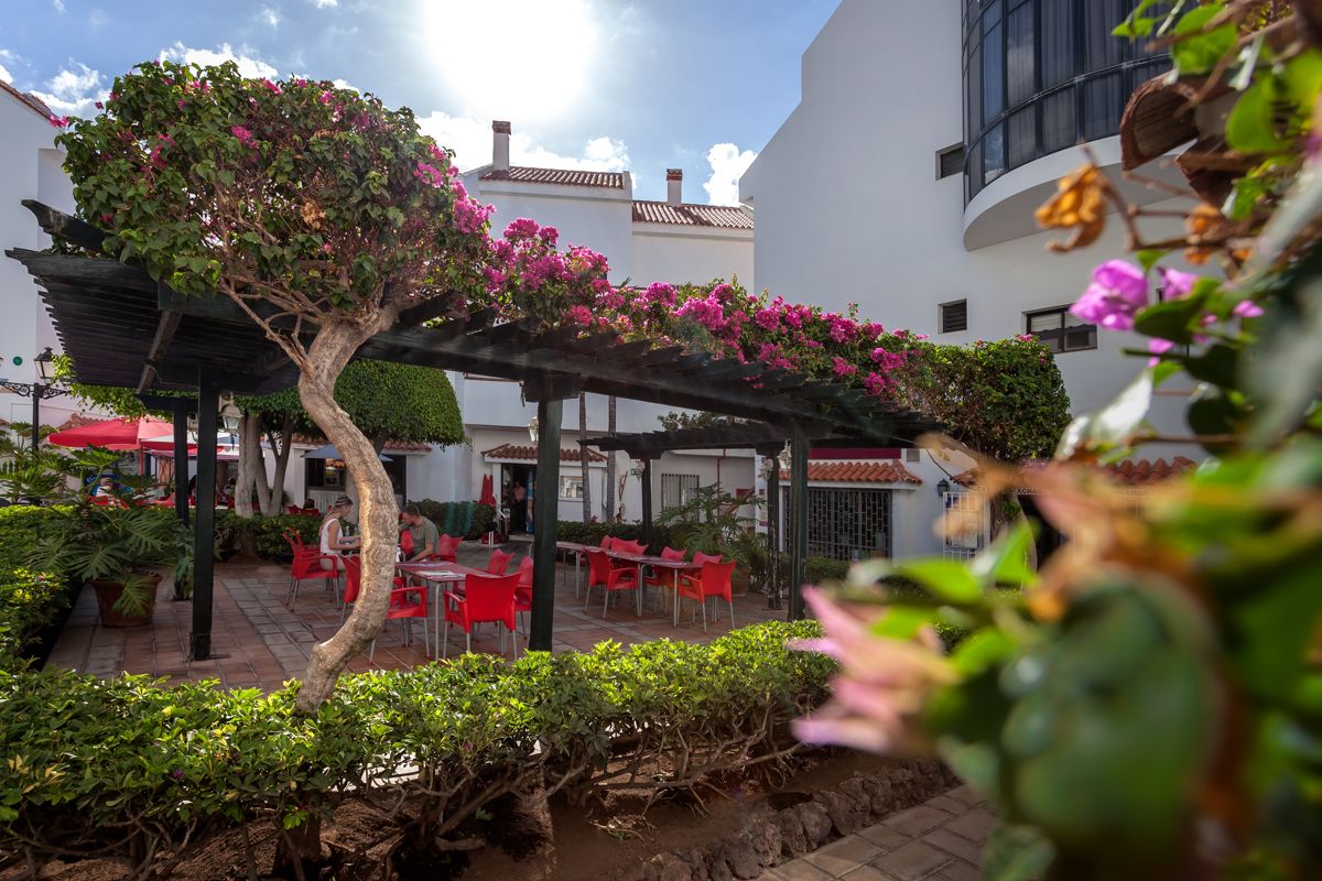 Sonniger Innenhof in Teneriffa mit roten Stühlen und Bougainvillea.