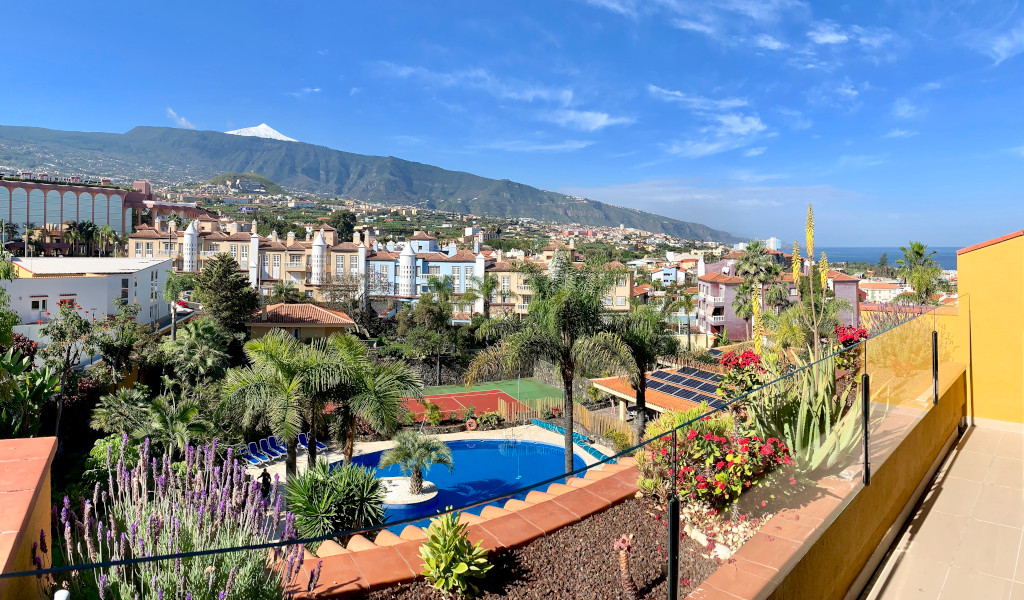 Blick auf Puerto de la Cruz mit Teide im Hintergrund und Palmen im Vordergrund.