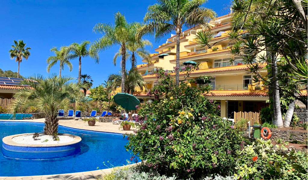 Außenbereich mit Pool und Palmen in einem Hotel in Tenerife.
