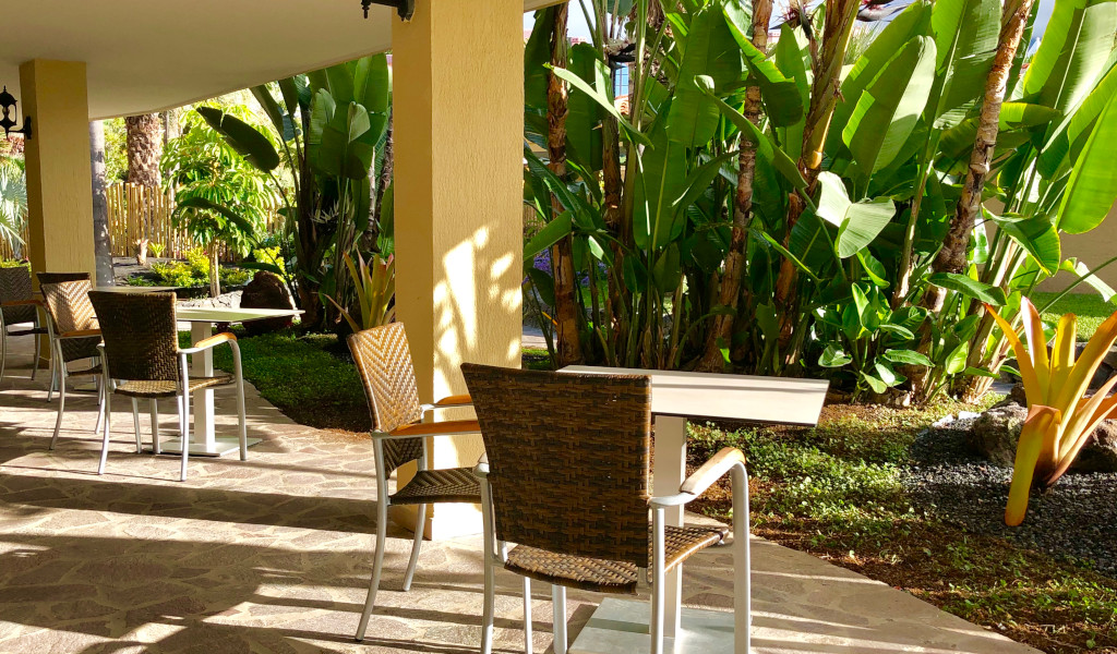 Terrasse mit Tischen und Stühlen neben tropischen Pflanzen in Puerto de la Cruz.