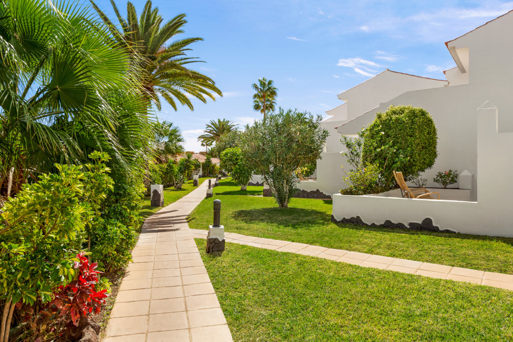 Gartenweg mit Palmen und Sträuchern in einem Resort in Teneriffa.
