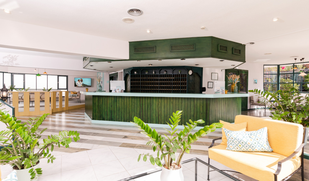Empfangsbereich eines Hotels in Teneriffa mit grünem Tresen und Pflanzen.