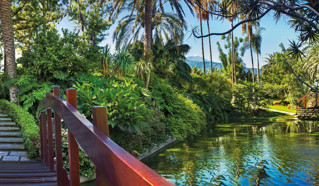 Holzbrücke über einen Teich mit üppigen Pflanzen im Garten in Puerto de la Cruz, Teneriffa.