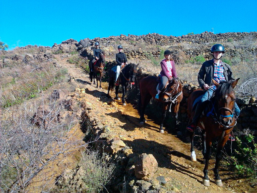Reitergruppe reitet auf einem Pfad in Vilaflor, Teneriffa.