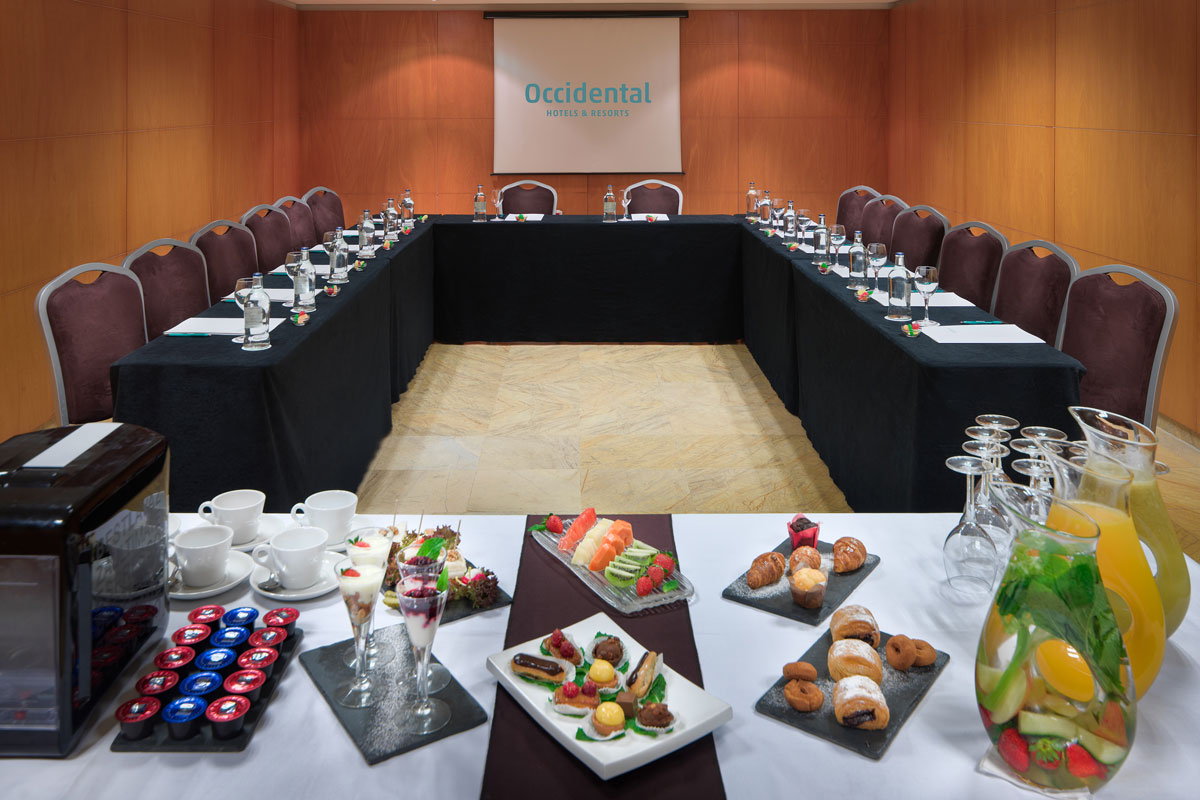 Hotel Occidental Santa Cruz Contemporaneo-7