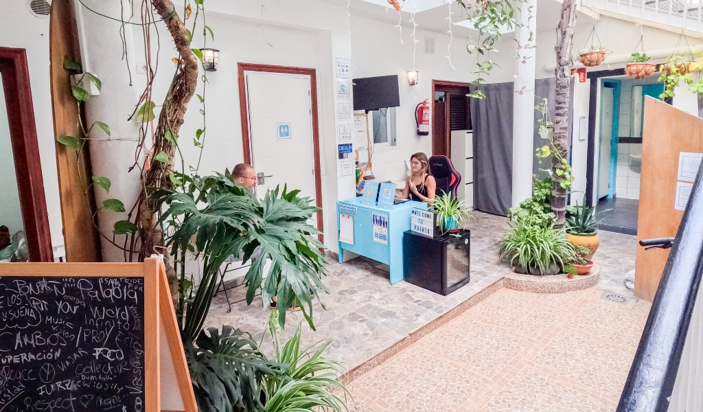 Empfangsbereich eines Hostels in Tenerife mit Pflanzen und Schreibtisch.
