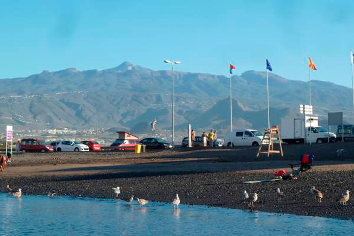 Autos und Möwen am Strand von Las Américas, Teneriffa, mit Bergkulisse.