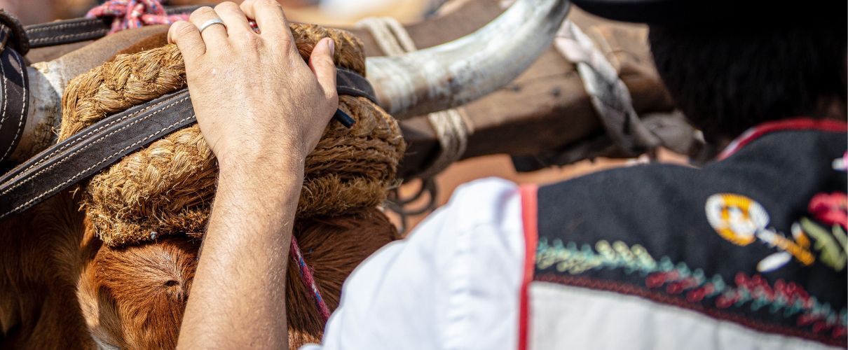 Wallfahrt von San Roque