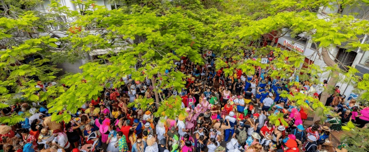 Menschenmenge beim Karneval in Santa Cruz de Tenerife unter grünen Bäumen.