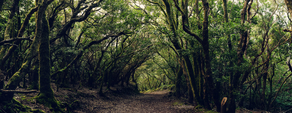 Espacios naturales protegidos