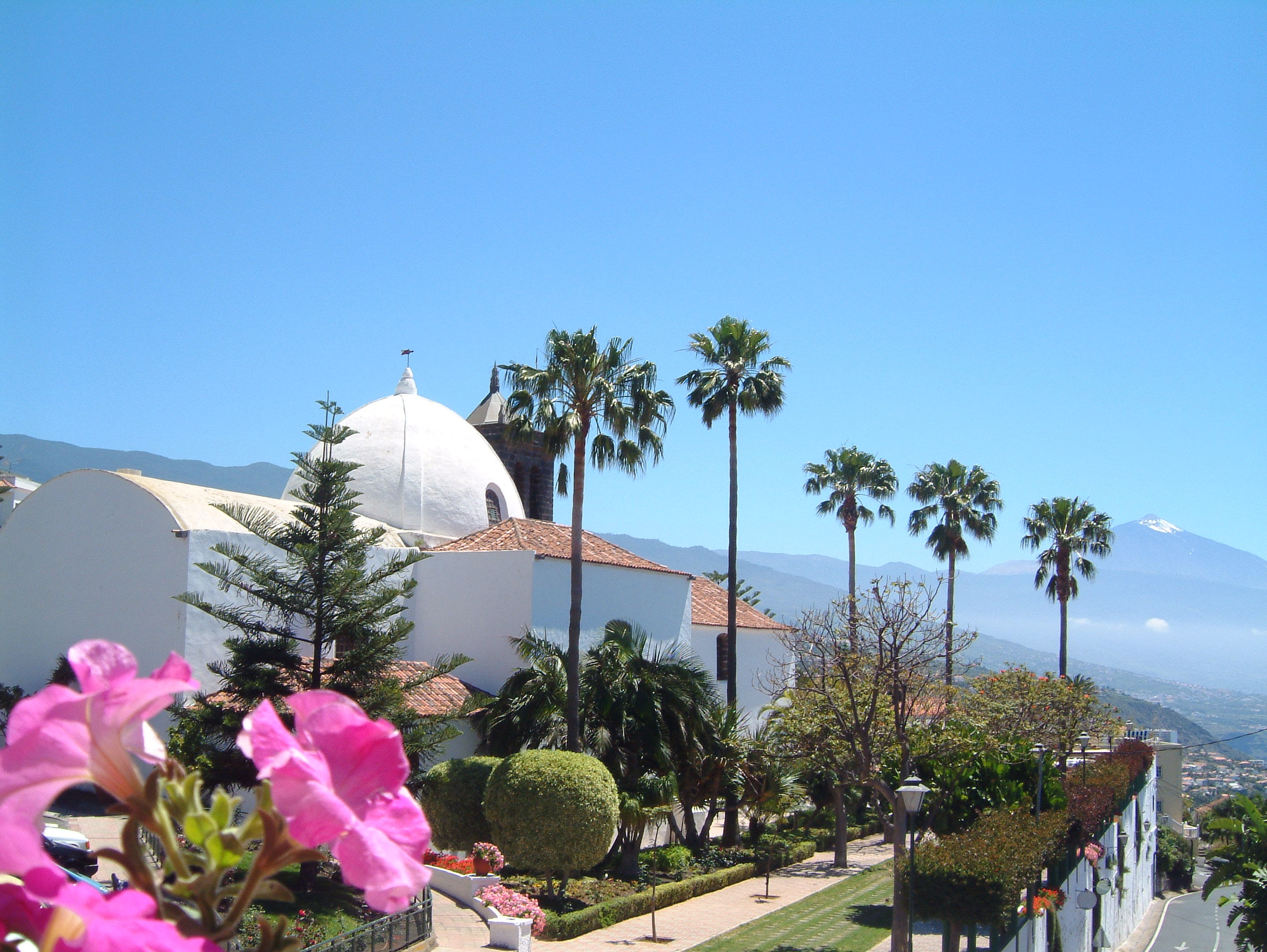 Kirche mit Palmen und Teide im Hintergrund in Los Realejos, Teneriffa.