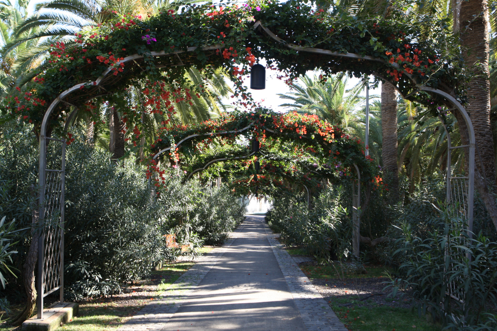 Ich gehe unter floralen Pergolas in einem Park auf Teneriffa.