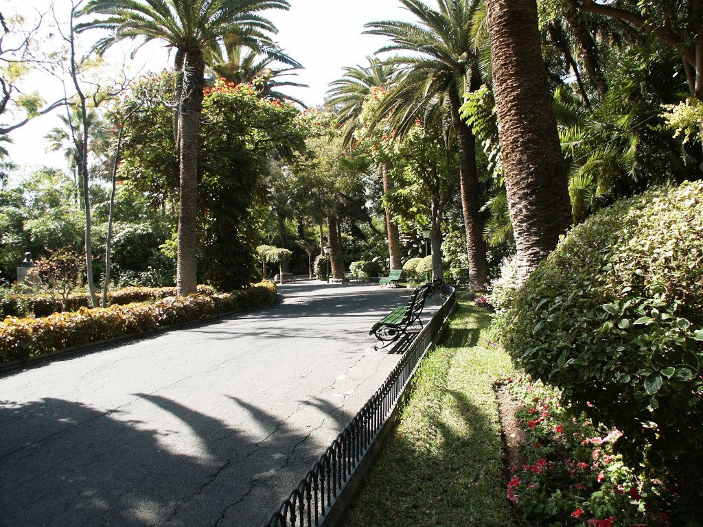 Ein von Palmen und Bänken gesäumter Weg in einem Park in Santa Cruz de Tenerife.