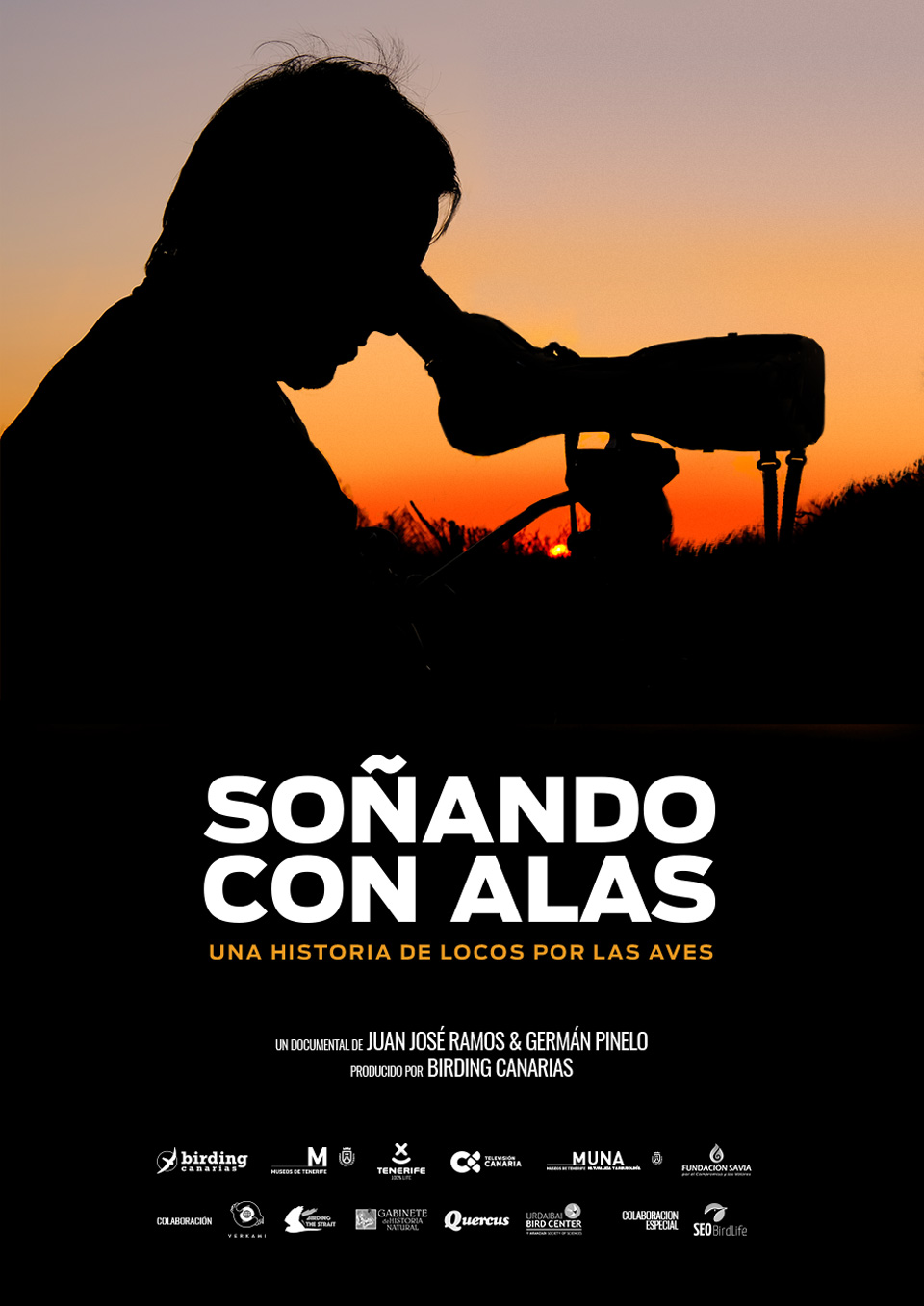 Cartel Soñando con alas-Galeria4