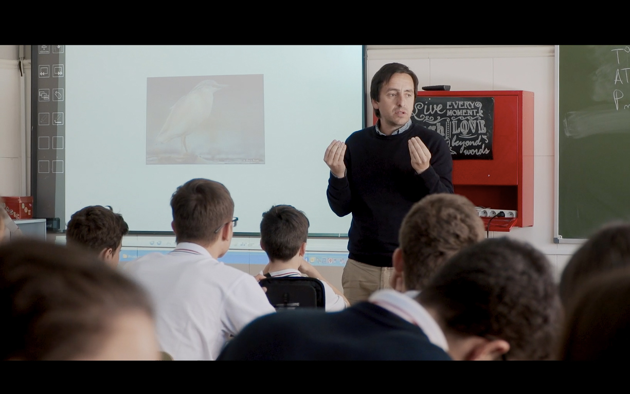 Soñando con alas-Galeria3