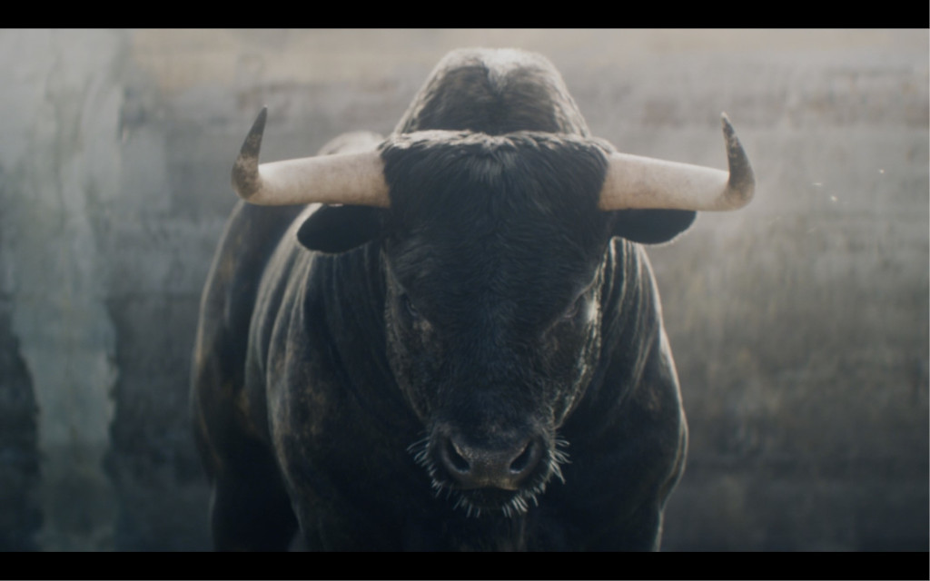 Bull in einem Veranstaltungsort auf Teneriffa.