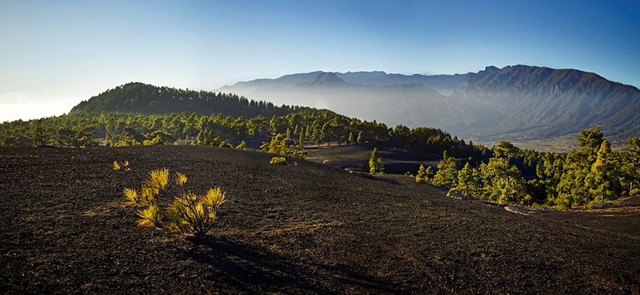 Bergige Landschaft mit Kiefern und klarem Horizont auf Teneriffa.