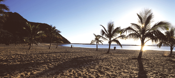 Temperatura primaveral