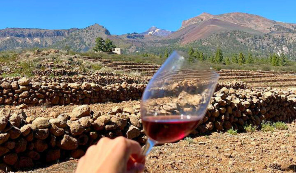 Weinberg in Teneriffa mit handhaltendem Weinglas und Bergen im Hintergrund.