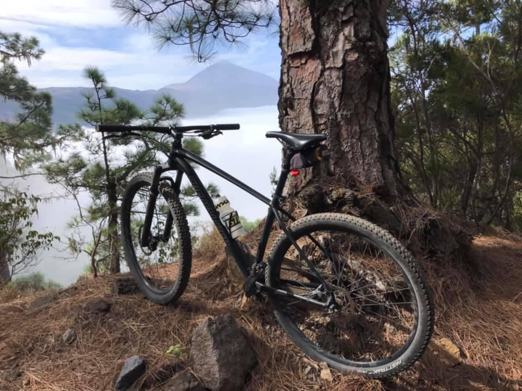 Mountainbike am Baum vor Teide-Berg im Orotavatal, Teneriffa.