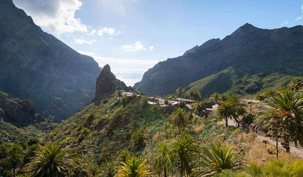 Tal und Dorf in Masca, Teneriffa, umgeben von Bergen und Vegetation.