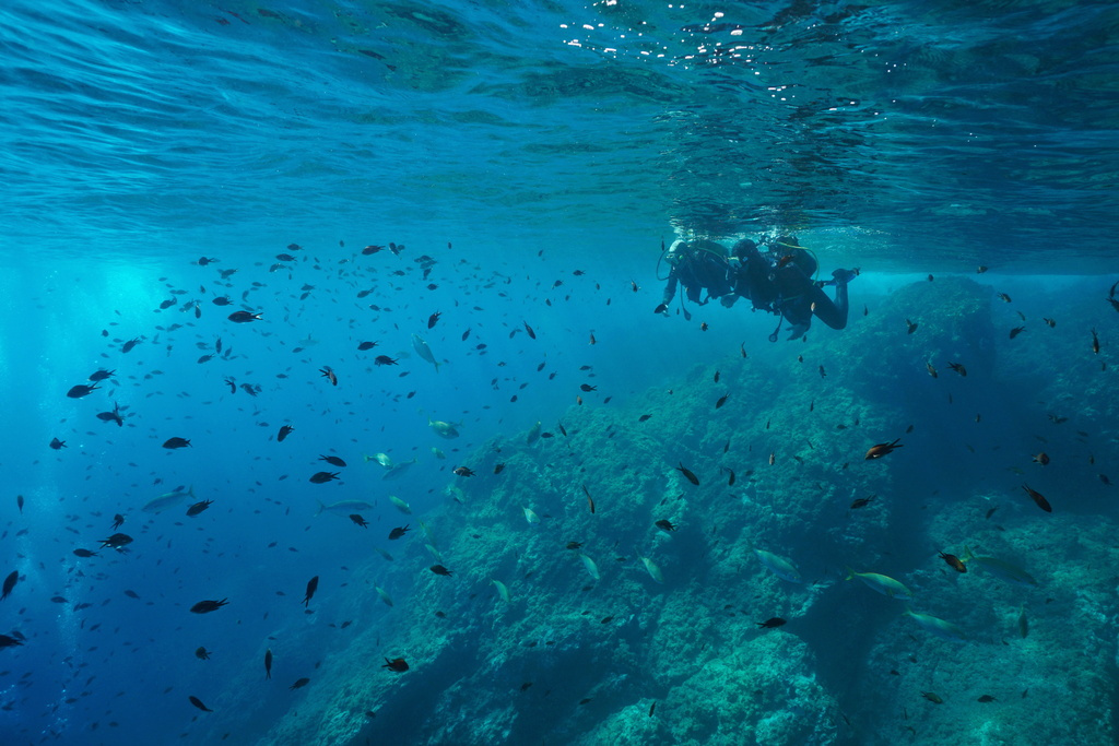 Taucher unter Fischen auf einem Unterwasserriff auf Teneriffa.