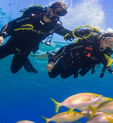 Macaronesian Divers Tenerife