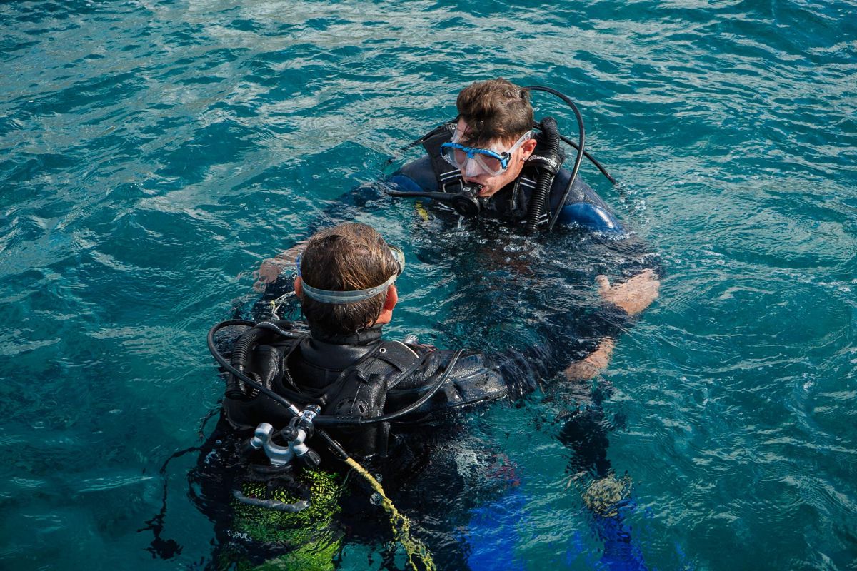 Taucher, die im Wasser nahe der Küste von Teneriffa plaudern.