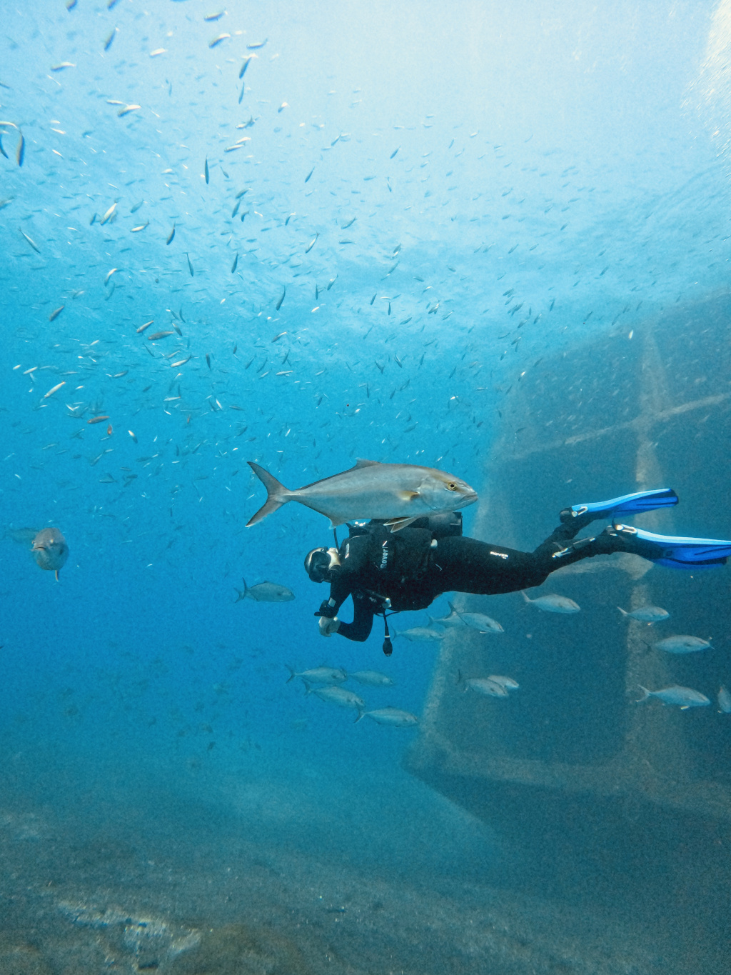 Taucher, umgeben von Fischen, neben einem gesunkenen Schiff in den Gewässern von Teneriffa.
