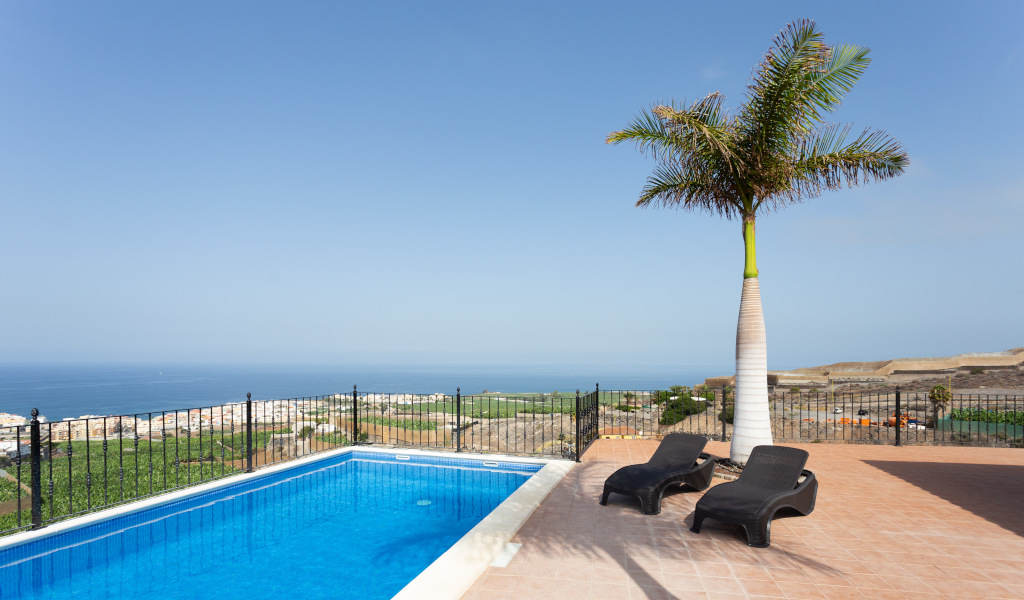 Schwimmbad mit Meerblick und Sonnenliegen auf Teneriffa unter einer Palme.