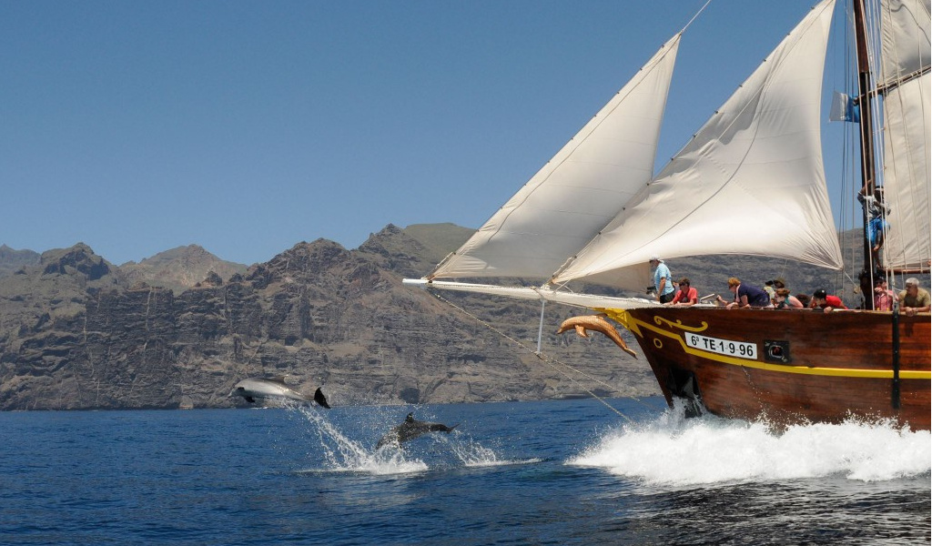 Segelboot in der Nähe der Klippen von Los Gigantes auf Teneriffa mit springenden Delfinen.