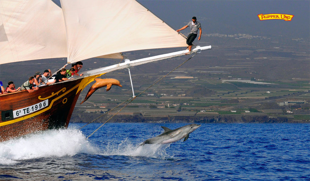 Boot mit Touristen auf Teneriffa, die Delfine beobachten, die im Meer springen.