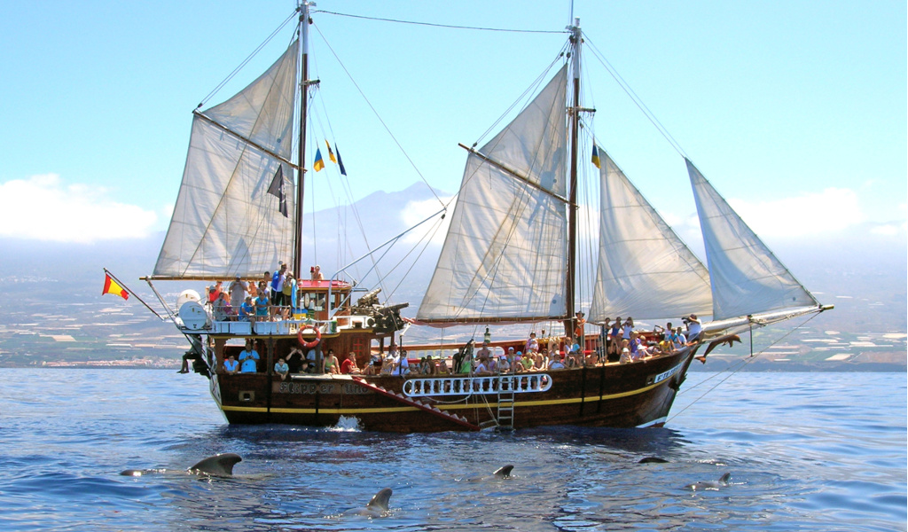 Touristensegelboot auf See mit Delfinen in den Gewässern von Teneriffa.