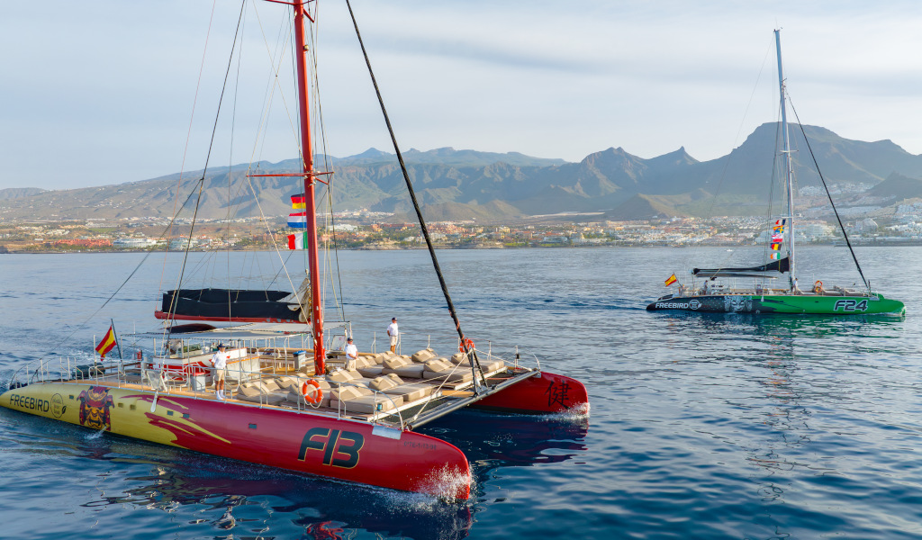 Zwei Katamarane, die vor der Küste von Teneriffa segeln, mit Bergen im Hintergrund.