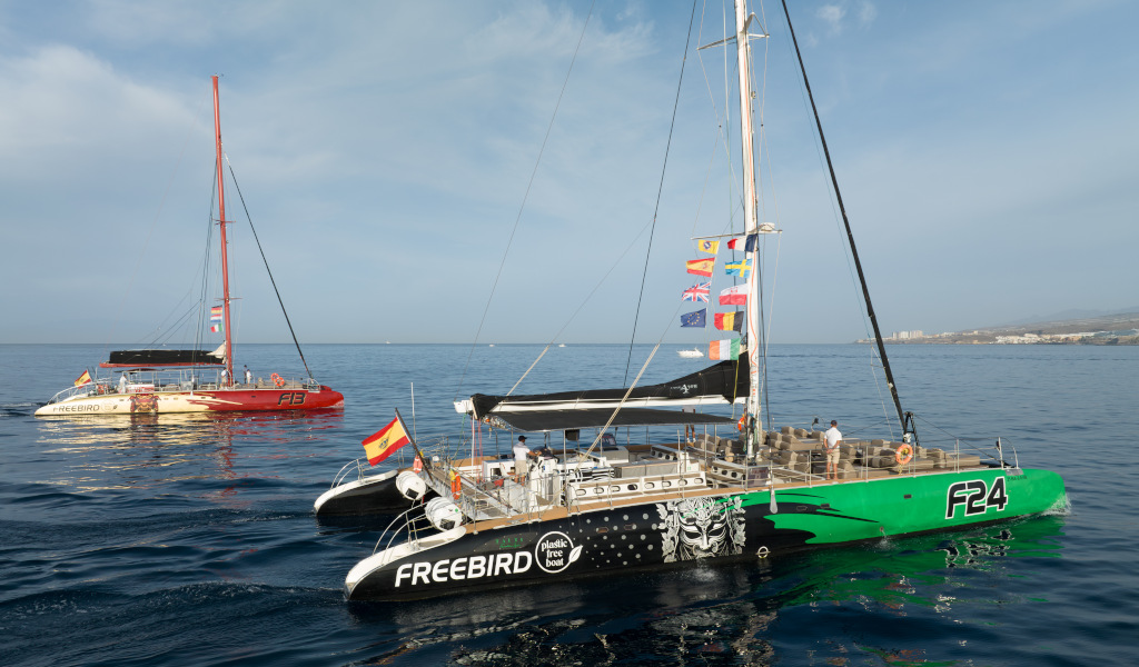 Freebird-Katamarane auf See nahe der Küste Teneriffas mit gehissten Fahnen.