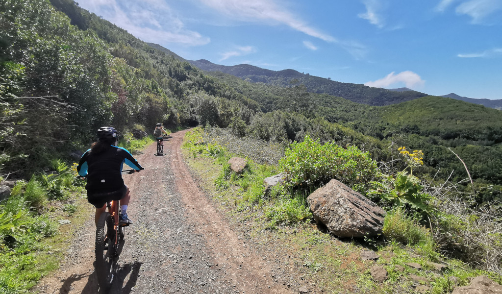 Radfahrer auf einem bergigen Weg, umgeben von Grün auf Teneriffa.