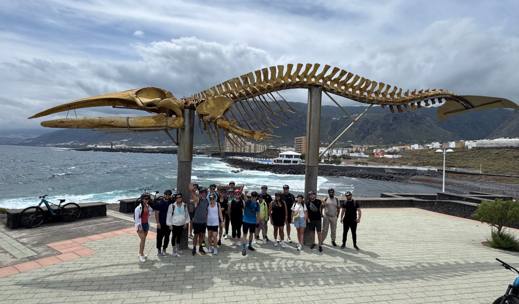 Gruppe von Menschen unter einem Walskelett in Puerto de la Cruz, Teneriffa.