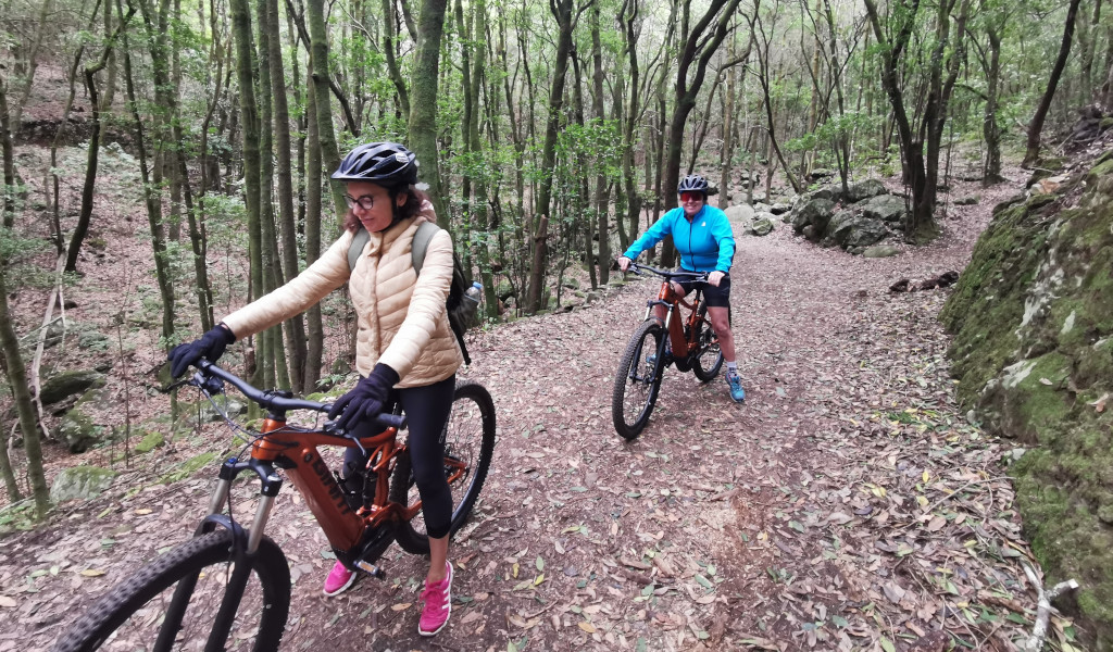 Menschen, die auf einem bewaldeten Pfad auf Teneriffa Mountainbiken fahren.