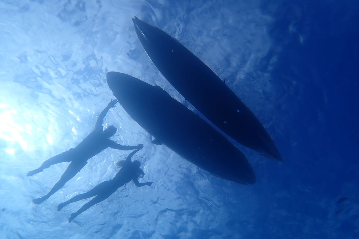 Zwei Personen schwimmen unter Wasser neben Surfbrettern auf Teneriffa.